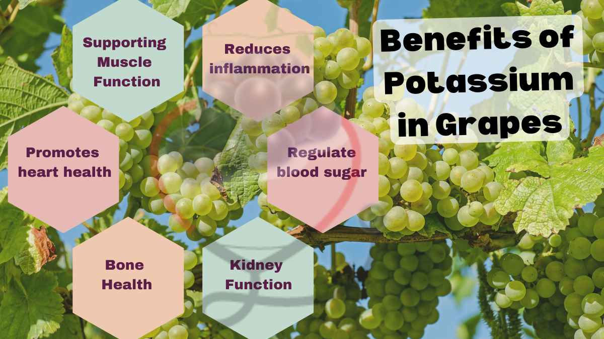 Image showing the Health Benefits of Potassium in Grapes