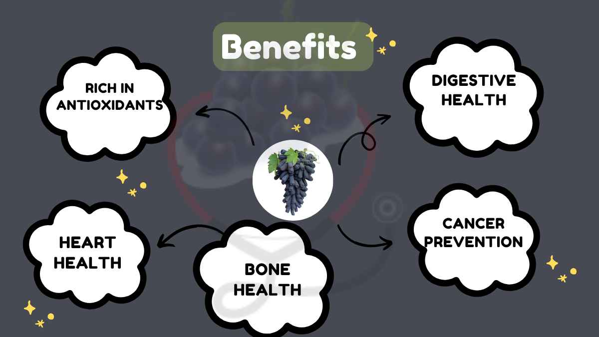 Image showing the Health Benefits of Moon Drop Grapes