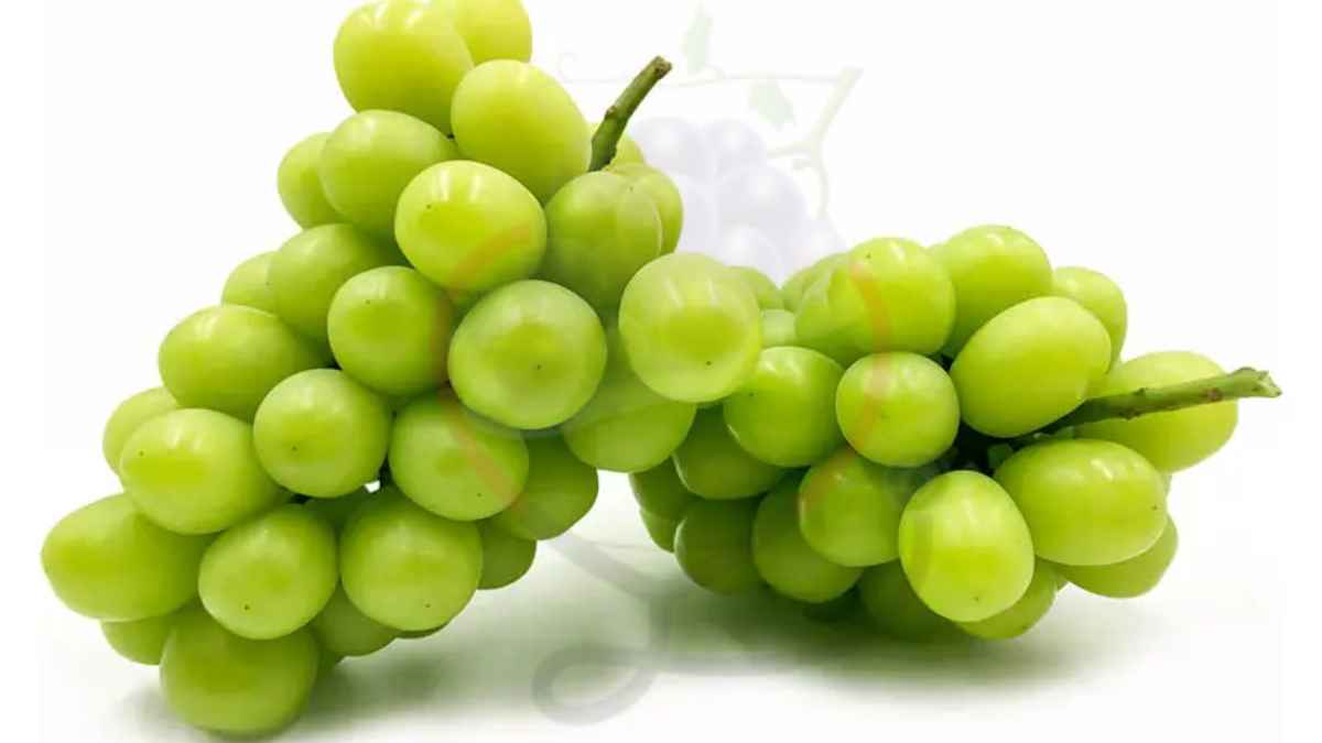 Image showing the Muscat Grapes