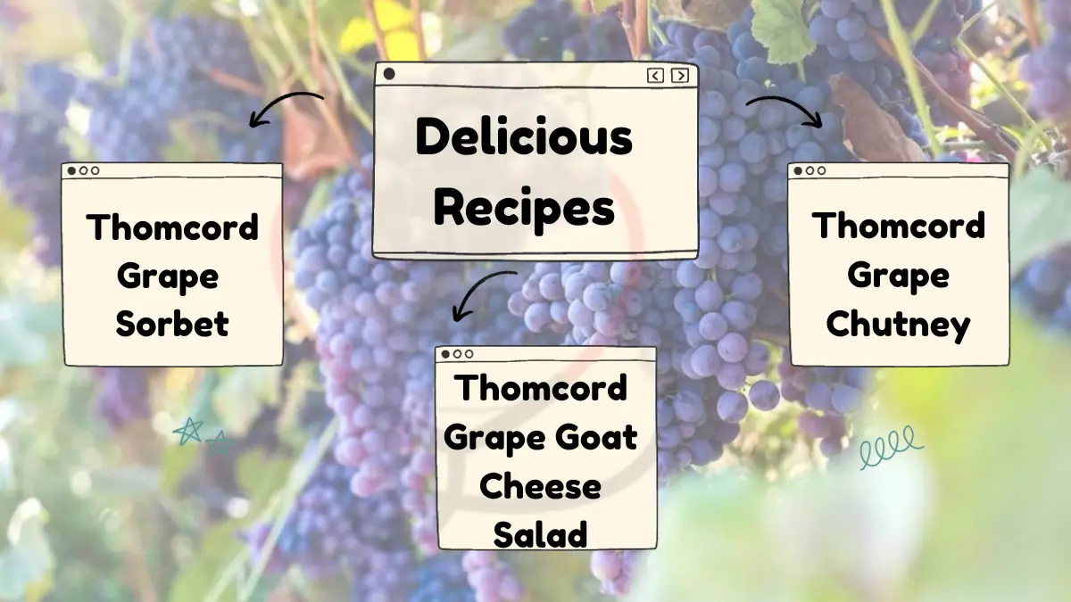 Image showing Delicious Recipes with Thomcord Grapes