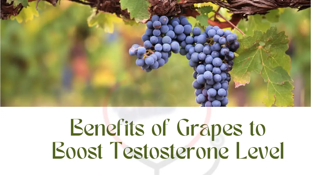 Image showing health Benefits of Grapes to Boost Testosterone Level