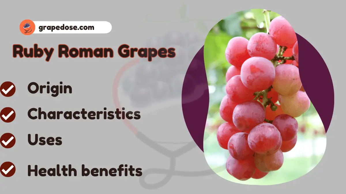 Image showing Ruby Roman grapes- A type of Grapes