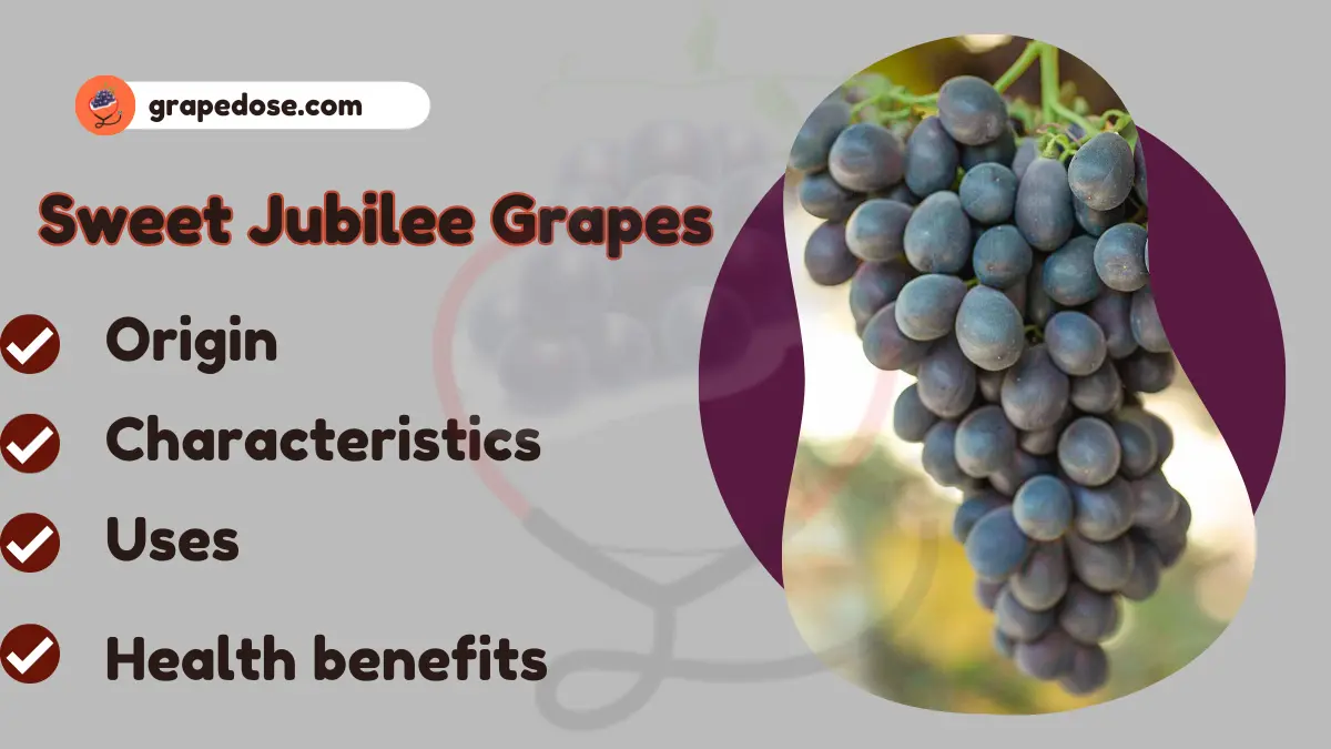 Image showing Sweet Jubilee Grapes a type of grapes