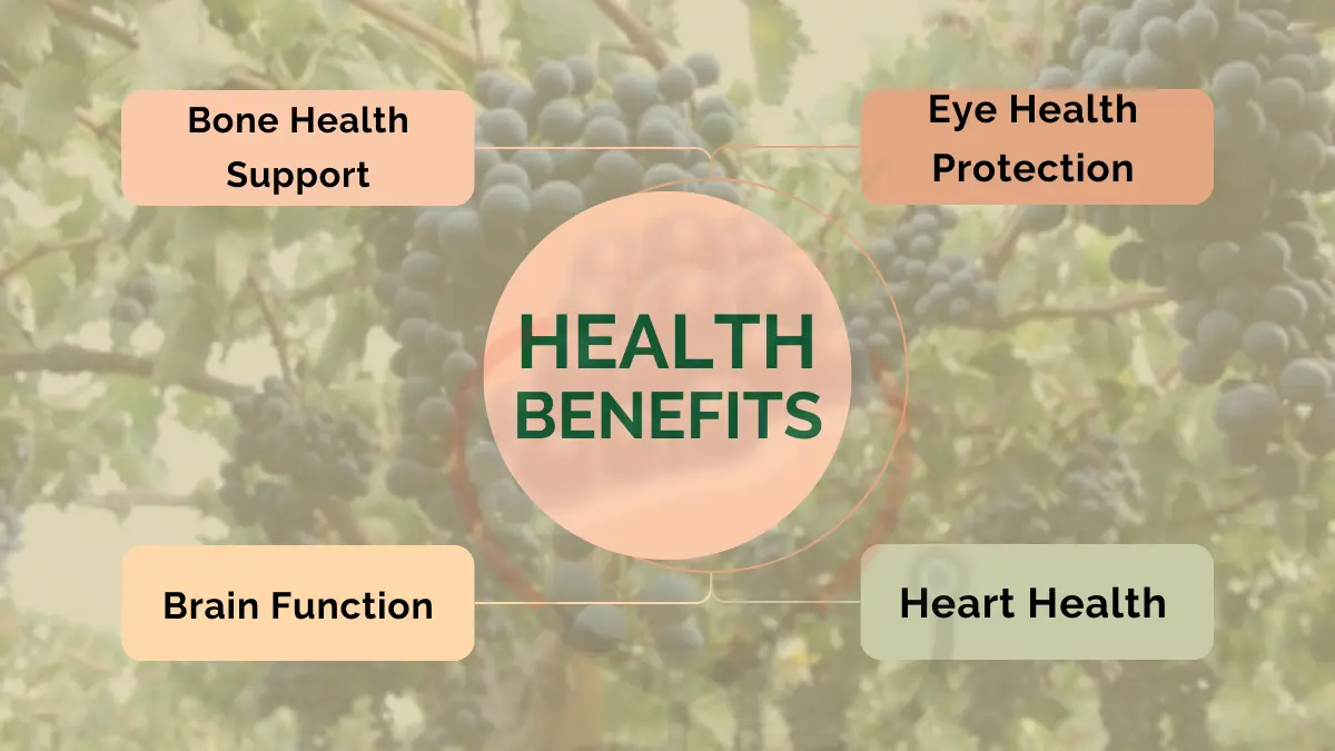 Image showing Health Benefits of Ribier grapes