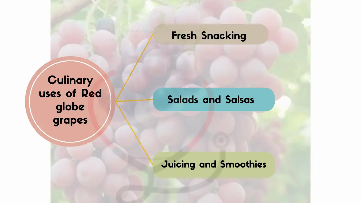 Image showing Uses of Red Globe Grapes