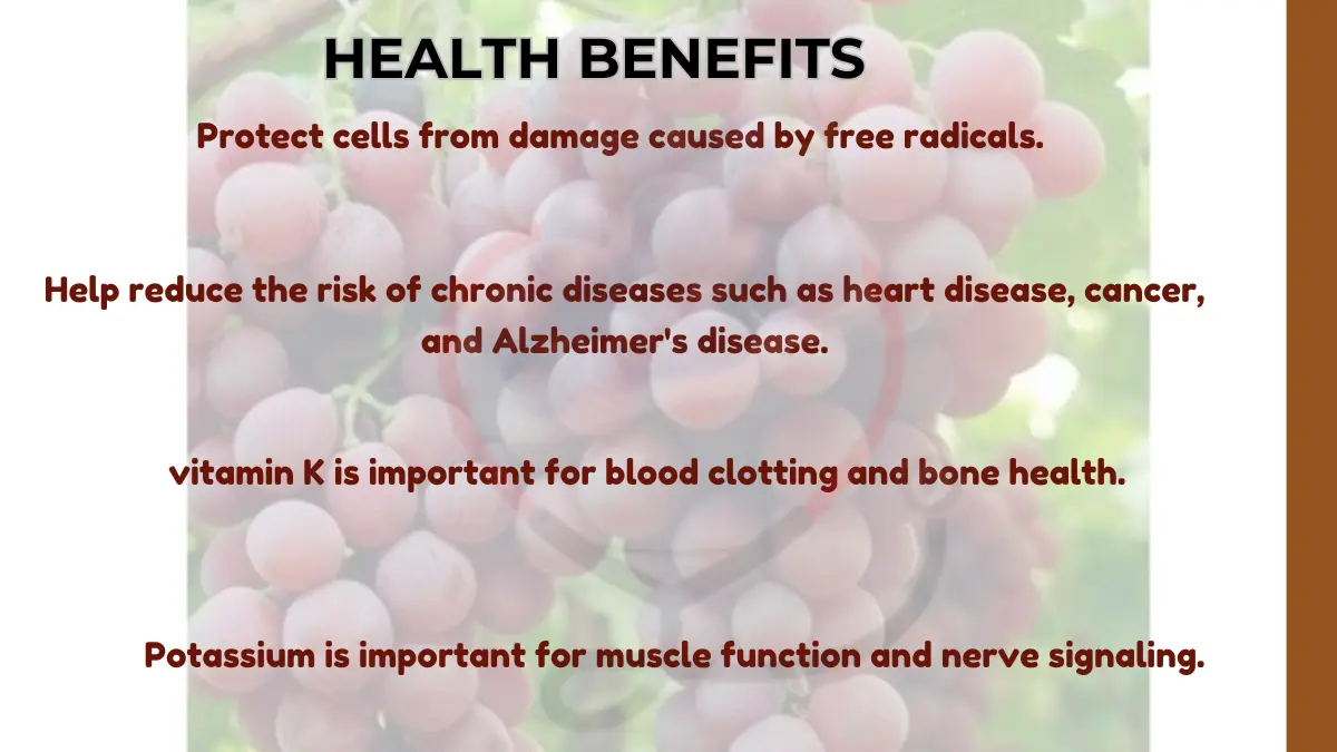 Image showing Benefits of Red Globe grapes