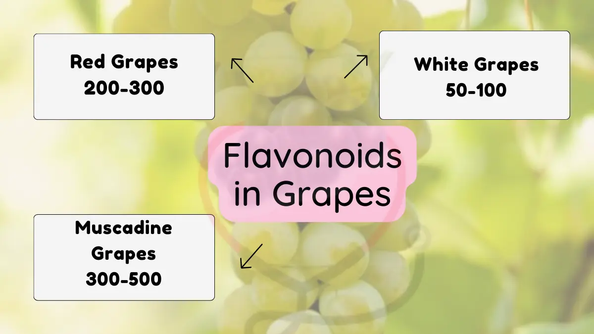 Image showing Amount of flavonoids in grapes
