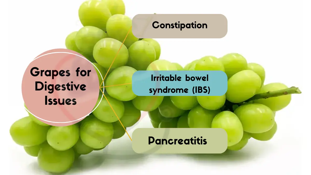 Image showing Grapes for Specific Digestive Issues