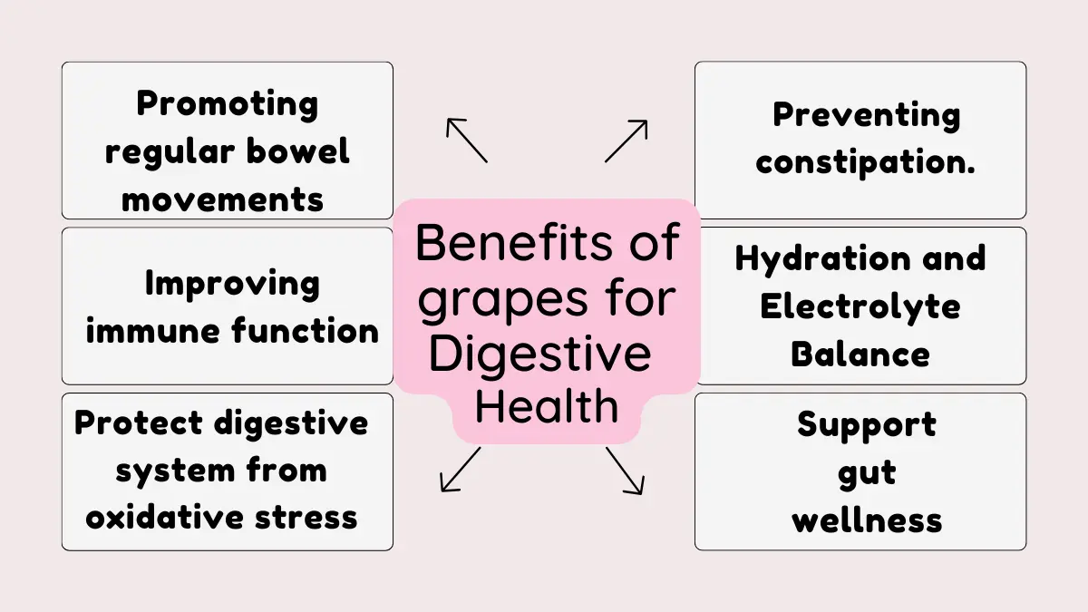Image showing Benefits of grapes for Digestive Health
