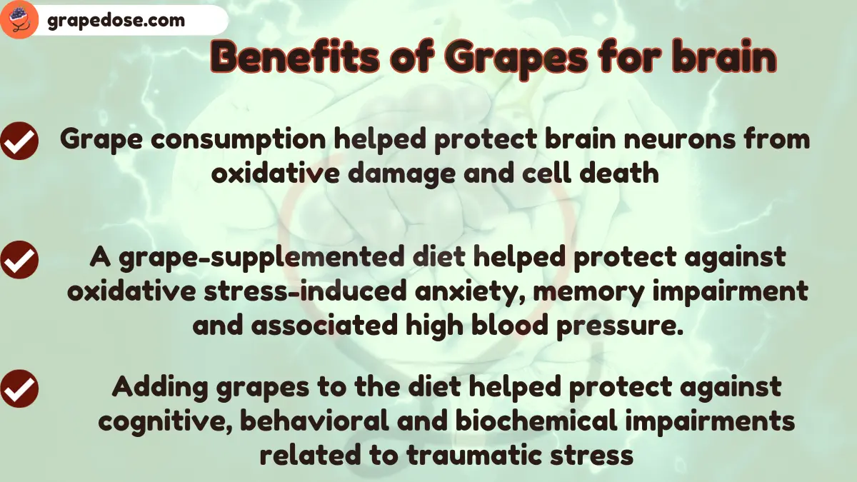 Image showing Benefits of Grapes for Brain