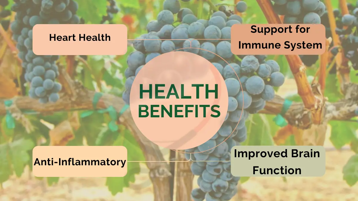Image showing Health Benefits of Sweet Jubilee grapes