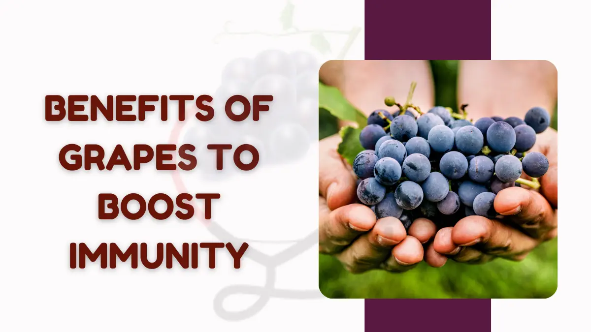 Image showing health Benefits of Grapes to Boost Immunity