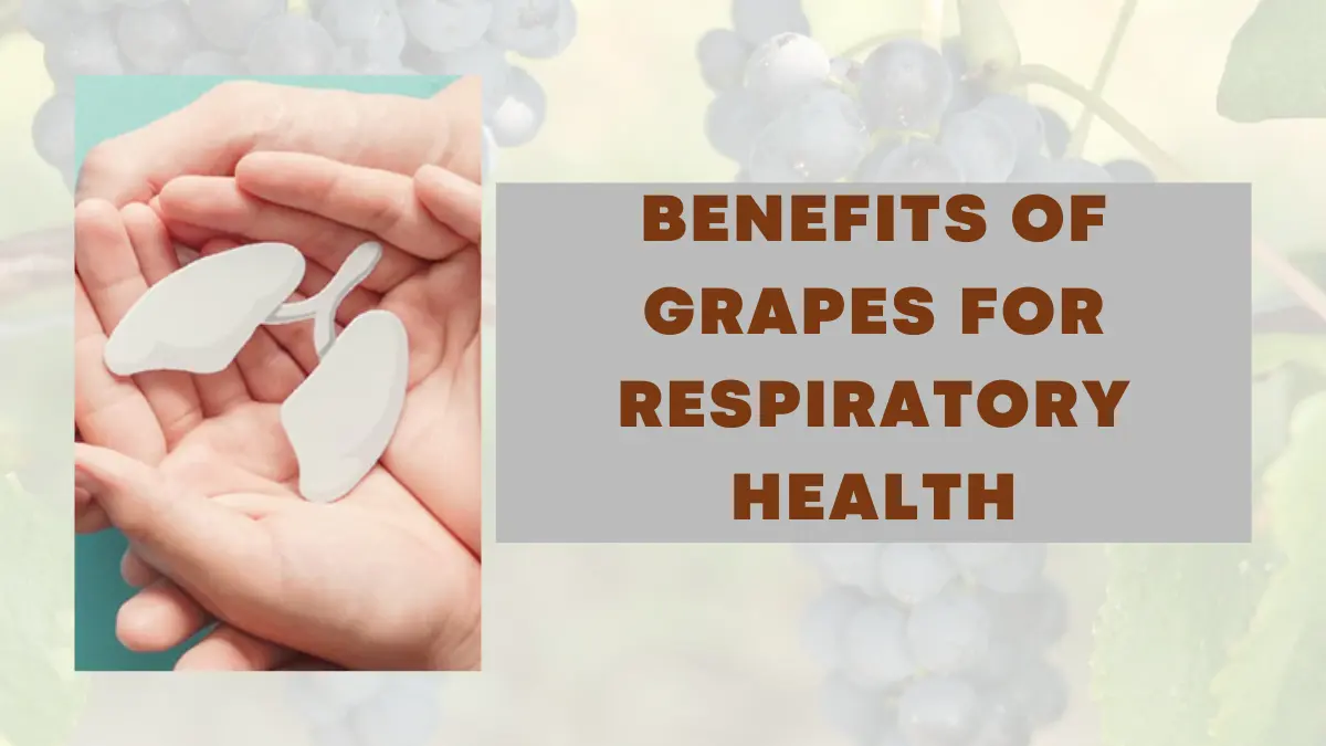 Image showing health Benefits of Grapes for Respiratory Health