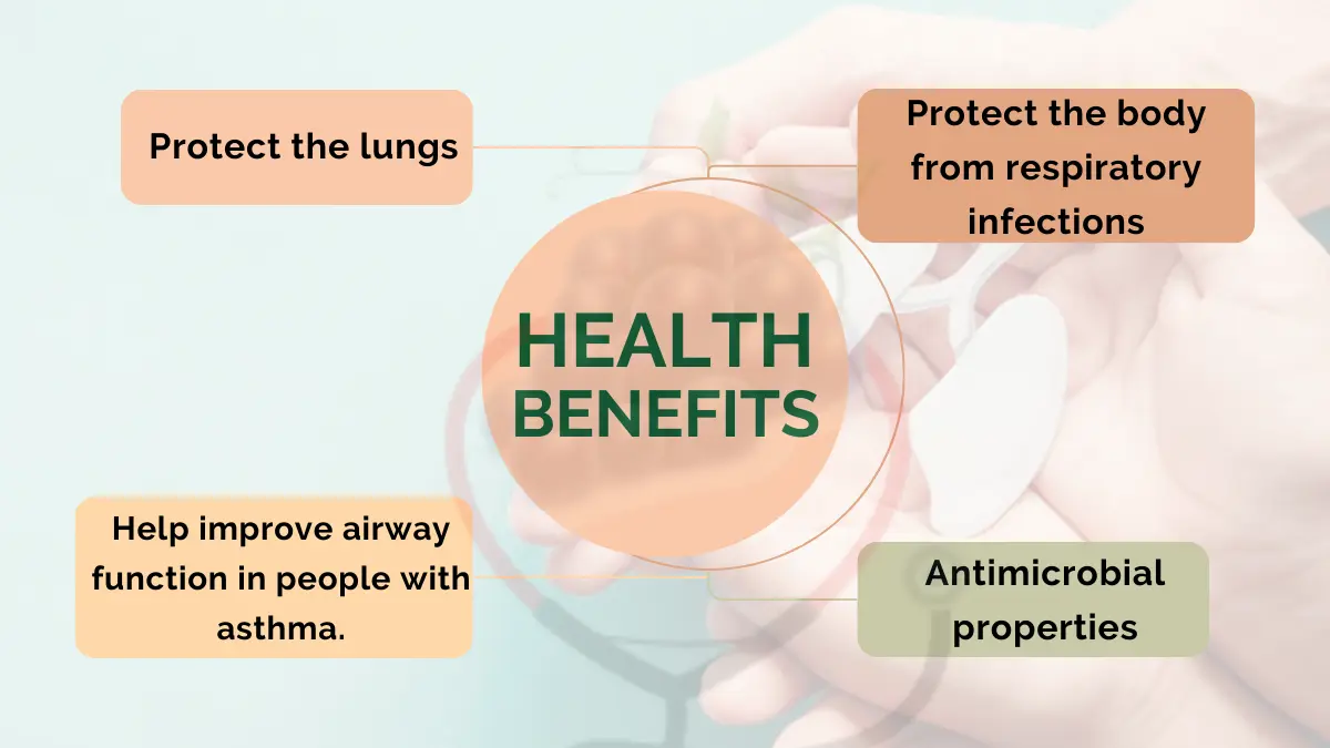 Image showing Benefits of Grapes for Respiratory Health